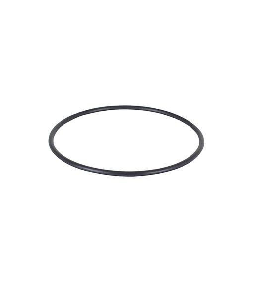 M Series Port Lens O-ring